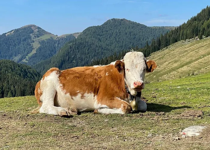 Lägenhet Gailtal Naehe Skigebiet Wertschach